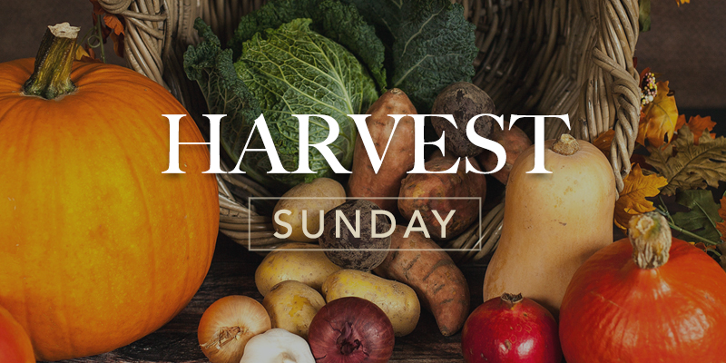Harvest Service & Lunch: